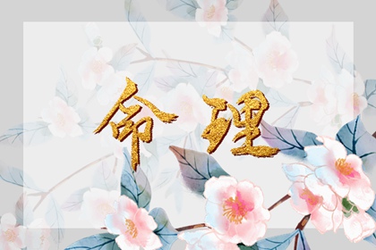 择吉老黄历皇历|老皇历查询|择吉老皇历